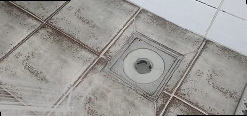연수구 송도1동 하수구막힘 배수구 주변의 물 고임과 역류 흔적을 확인하는 모습