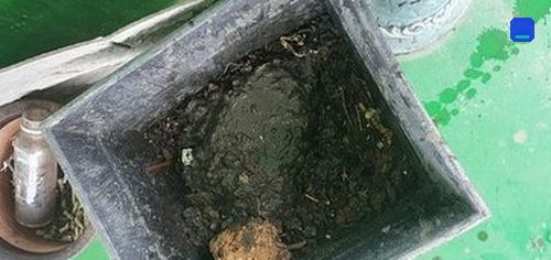 상가 화장실 하수구 통수 연수구 하수구막힘 상가 화장실 하수구 통수