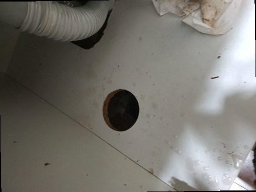 연수구 동춘1동 하수구막힘 배수구 주변 상태와 물 빠짐을 점검하는 모습